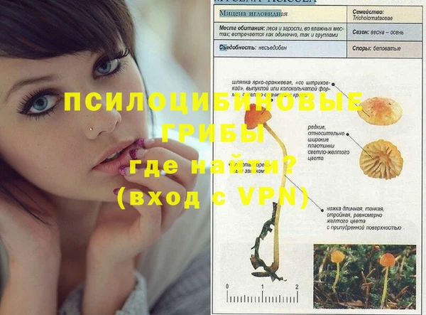 герыч Кинешма