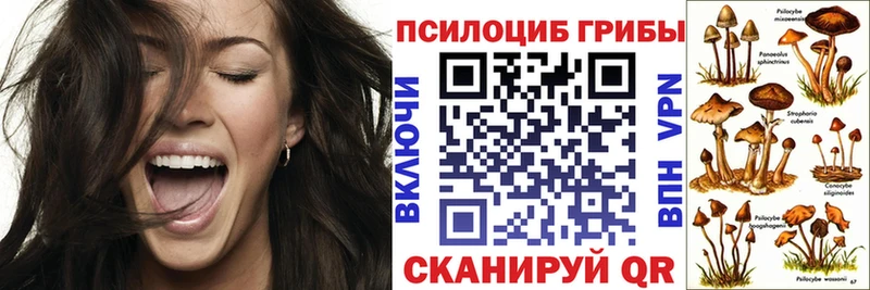 kraken   магазин  наркотиков  Лесозаводск  Галлюциногенные грибы Cubensis 